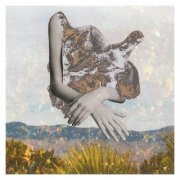 Almost An Island - Palo Verde (2025) [Hi-Res]