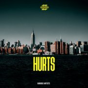 Various Artists - Hurts (2019) flac