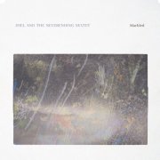 Joel and the Neverending Sextet - Marbled (2024) [Hi-Res]