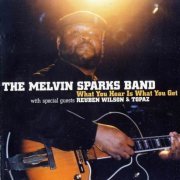 The Melvin Sparks Band - What You Hear Is What You Get (2003) CD Rip