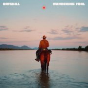 Driskill - Wandering Fool (2025) [Hi-Res]