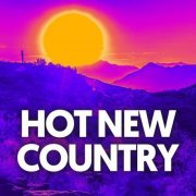 VA - hot new country (2023)