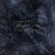 Common Eider, King Eider - Palimpsest (2020)