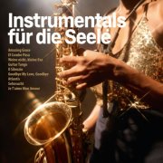 VA - Instrumentals für die Seele (2025)