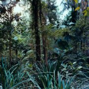 Laraaji, Silvia Tarozzi, Lamin Fofana, Megabasse - Latency alla Villa Medici III (2025) [Hi-Res]