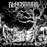 Blackbriar - A Thousand Little Deaths (2025) Hi-Res