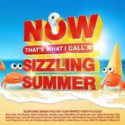 VA - Now That's What I Call A Sizzling Summer (2023)