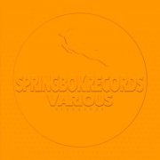 VA - Spirngbok Records Various Signature (2023)