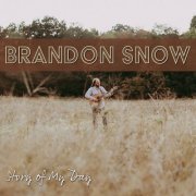 Brandon Snow - Story of My Day (2023) [Hi-Res]