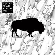 VA - The Roam Compilation, Vol. 2 (2026)