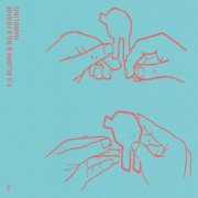 F.S. Blumm & Nils Frahm - Handling (2025)