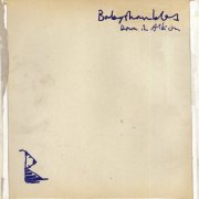 Babyshambles - Down in Albion (20th Anniversary Edition) (2025) [Hi-Res]