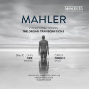 David John Pike & David Briggs - Mahler: Orchestral Songs - The Organ Transcriptions (2019) [Hi-Res]