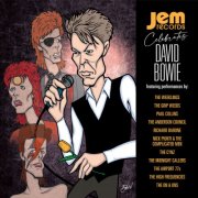 VA - Jem Records Celebrates David Bowie (2025) [Hi-Res]