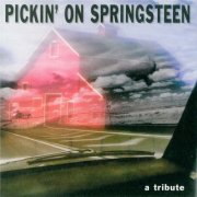 Pickin' On Series - Pickin’ on Springsteen: A Tribute (1999)