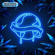 VA - Drum & Bass Essentials 2026 (2026)