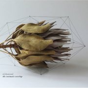 o[rlawren] - The Intimate Overlap (2025)