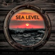 Sea Level - Live at the Ivanhoe Theater, Chicago, 1977 - FM Radio Broadcast (Live) (2015)