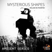 Willem de Poorter - Mysterious Shapes (2022)