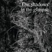 VA - The Shadows In Thy Glimpse: Bedouin Records Selected Discography 2016-2018 (2021)