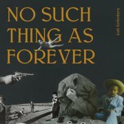 Josh Fortenbery - No Such Thing as Forever (2024)