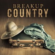 VA - Breakup Country (2025)