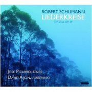 David Aijón, José Pizarro - Robert Shumann: Liederkreise (2014)