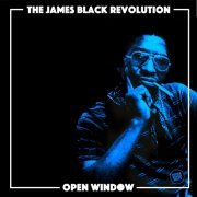 James Black Revolution - Open Window (2020)