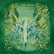 Tom Adams - After the Rain (2025) [Hi-Res]