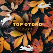 VA - Top otoño 2025 (2025)