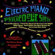 Electric Piano Playground - Psychedelic Seeds (Reissue) (1967/2011)