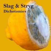Slag & Stryg - Dichotomies (2026) [Hi-Res]