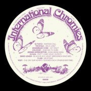 VA - International Chromies Vol. 12 (2022)