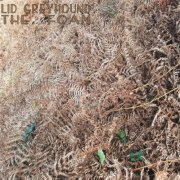 Lid Greyhound - The Foam (2023) Hi-Res