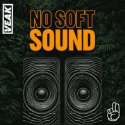 Veak - No Soft Sound (2026)
