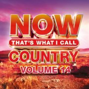VA - Now That's What I Call Country Volume 14 (2021)