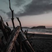 Warmth & Human Is Alive - Driftwood (2025)