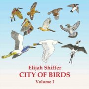 Elijah Shiffer - City Of Birds, Volume I (2023)