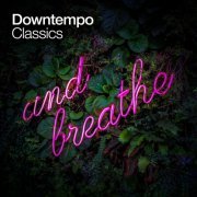 VA - Downtempo Classics (2020)