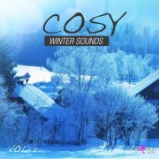 Cosy Winter Sounds Vol 2 (2015)