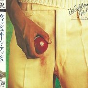 Wishbone Ash - There's The Rub (Japan Remastered, SHM-CD) (1974/2013)