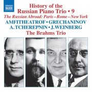 Brahms Trio - History of the Russian Piano Trio, Vol. 9 (2025) [Hi-Res]
