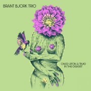 Brant Bjork Trio - Once Upon A Time In The Desert (2024)