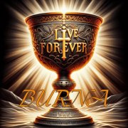 Burna - Live Forever (2024) [Hi-Res]