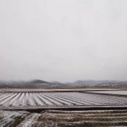 Hakobune - above the northern skies shown (2021)