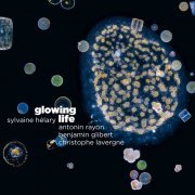 Sylvaine Hélary - Glowing Life (2020)