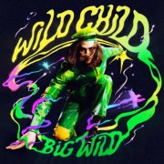 Big Wild - Wild Child (2025) [Hi-Res]