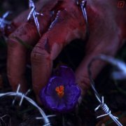 [BORDERS] - A Remedy For My Sorrow (2026)