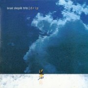 Brad Shepik Trio - Drip (2003)