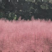 Testset - ALL HAZE (2025) Hi-Res